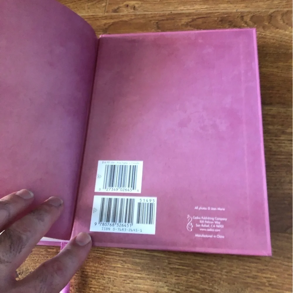Vintage pink Anne baby large journal
